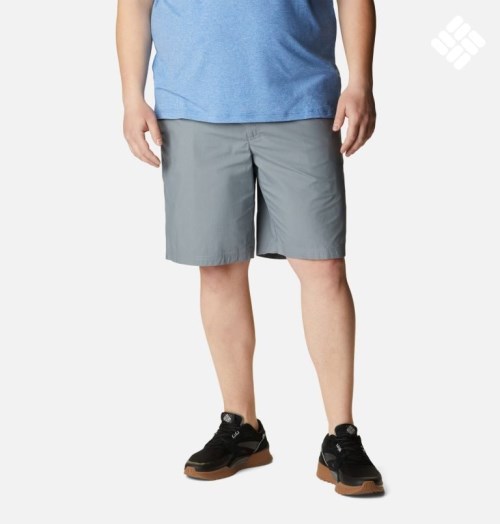 Men's Columbia Washed Out Shorts Grey | Plus Size CA-J1856